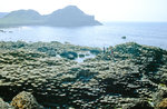 Der Giant’s Causeway in Nordirland ist seit 1986 UNESCO-Welterbestätte.