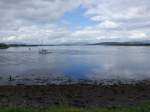 Loch Etive bei Connel (05.07.2015)