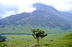 Am River Nevis im Schottischen Hochland.