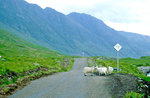 An der Landesstraße C1162 südlich von Ben Nevis im schottischen Hochland.