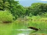 Blick auf den Flusslauf des Rio Balso, in der Region Puntarenas, in Costa Rica.