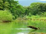 Blick auf den Flusslauf des Rio Balso, in der Region Puntarenas, in Costa Rica. Foto vom August 2016.