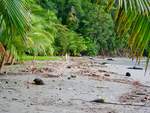 Strand Bahia Balena, an der Punta Mala, der  schlechten Küste  im Südwesten von Costa Rica.