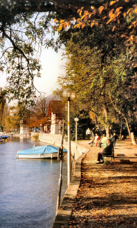 Uferlandschaft - Rheinufer bei Stein am Rhein, Oktober 2000