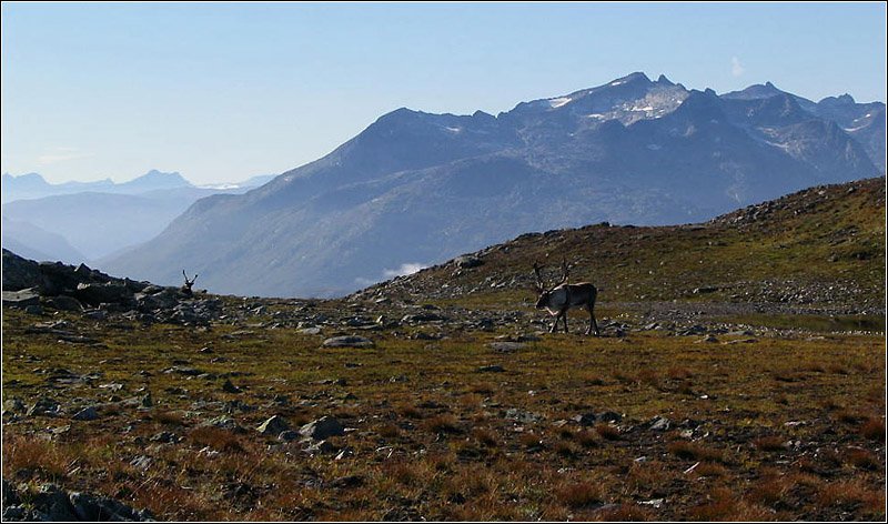 unberhrte Landschaft auf der Insel Kvalya.