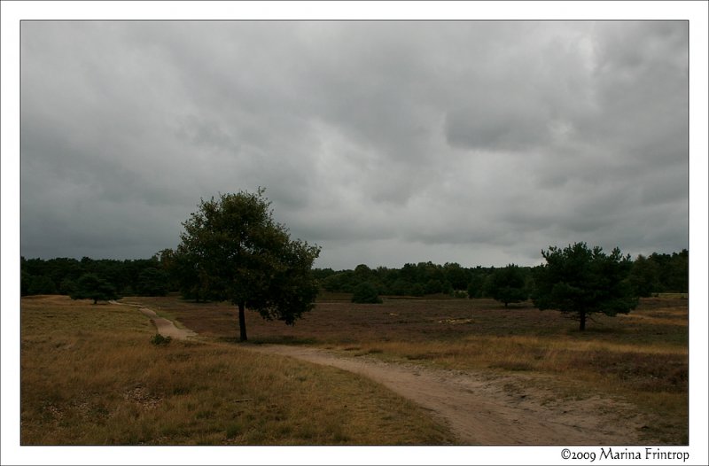 Unterwegs im Ruhrgebiet - Naturschutzgebiet Westruper Heide, Haltern am See. 