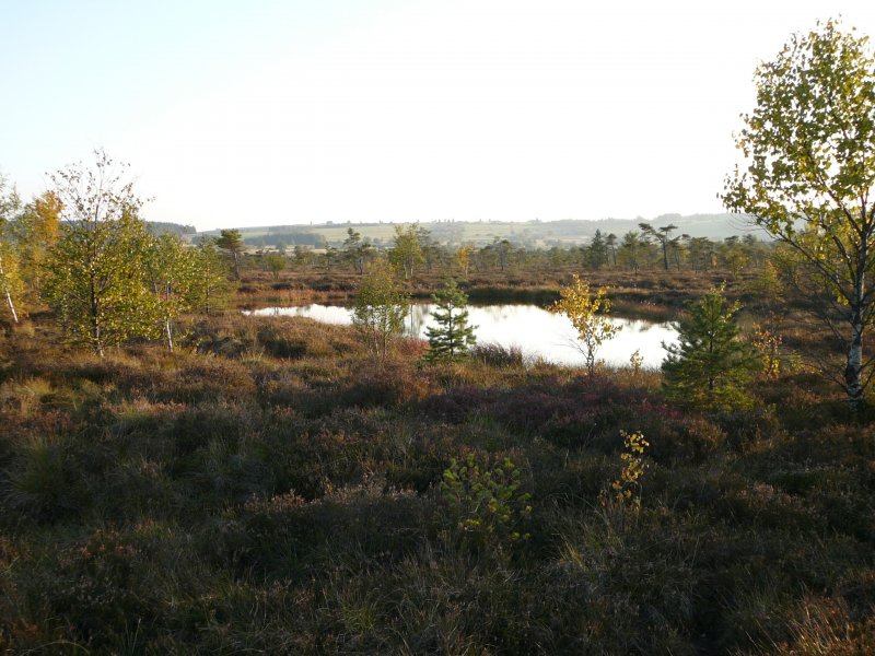 unterwegs im Schwarzen Moor im September 2008