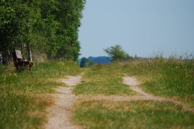 Verlassene Pfade im Dosenmoor in Einfeld.