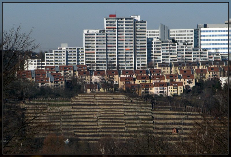 Verwandte Strukturen - 

Wohnhochhaus und alter steiler Weinberg am Neckartalhang im Bereich des Stuttgarter Stadtteils Freiberg. 

03.02.2008 (J)