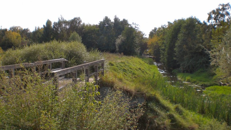 viel Grn an der Panke, Sommer 2007