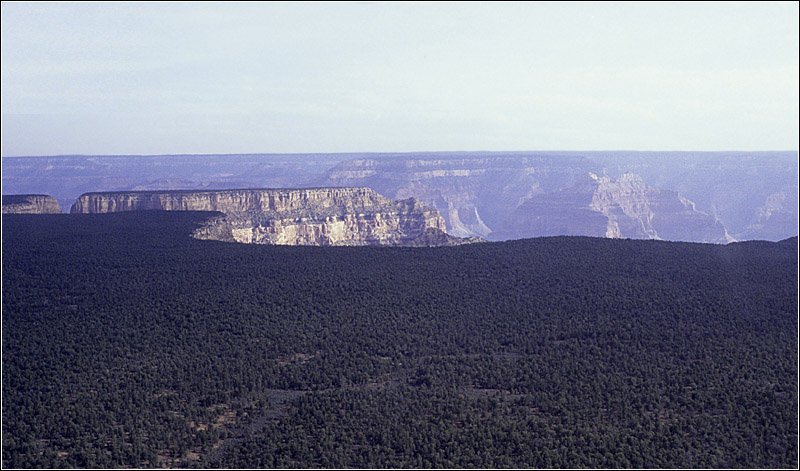 Von der Ebene in den Abgrund - 

Der Grand Canyon vom Hubschrauber aus. Mit am meisten beeindruckt hat mich der Gegensatz der bewaldeten Ebene zu dem ganz unvermittelten Steilabfall von 1800 m, der sich da plötzlich auftut.  Wie muss das wohl gesehen sein, als Menschen ohne es zu ahnen was sie da erwartete diese Hochfläche durchstreiften. 

April 1992, Scan vom Dia (M)