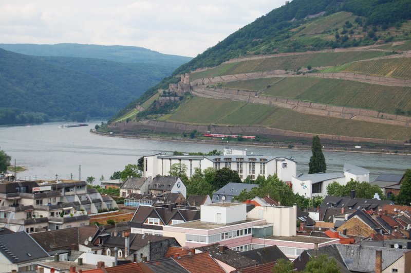 Von der Ruine aus hat man eine sehr schne Aussicht ber Bingen und auf das rechte Rheinufer, dreht man sich nur etwas nach links, hat man fast den kompletten Bahnhofsbereich und die Nahe im Blick