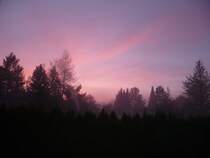 Abendd�mmerung am nebligen 8.12.08 in Reutlingen (BW). 

