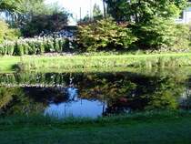 Rostock  im Botanischen Garten 8