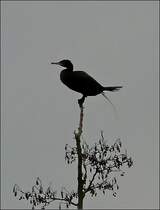 Genau im richtigen Moment abgedr�ckt. (Jeanny)