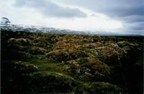 H�gelige Landschaft unterwegs in Island