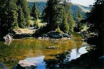 Kleines Seeli auf der Elsigenalp; solche entstehen dort nur nach der Schneeschmelze im Fr�hling