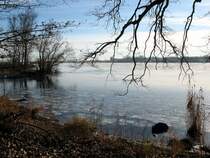 Winterstimmung an der Elbe zwischen Geesthacht und Lauenburg; 06.01.2009
