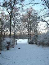 Schillerpark Berlin-Wedding, Januar 2009