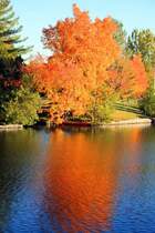 Indian Summer am Talbot Canal; 12.10.2008