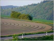 Acker in der N�he von Drauffelt. 02.05.09 (Jeanny)