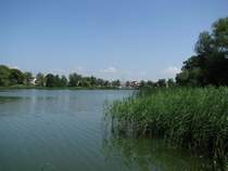 Vielbecker See, Sdufer mit Altstadt  02.07.2009