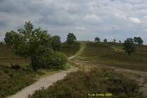 Der Weg durch die Heidelandschaft zum Brunsberg zum Beginn der Heideblte Ende Juli 2009. Der Brunsberg liegt auf dem Gebiet der Stadt Buchholz in der Nordheide.
