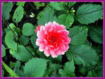 und noch etwas hbsches.