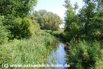 Schnberger Strand http://www.ostseeblick-holm.de