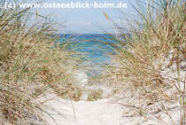 Schnberger Strand http://www.ostseeblick-holm.de