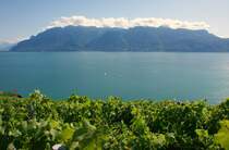 Sptsommerstimmung am Genfersee.
(05.09.2009)