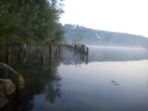 Fischen am Murtensee
