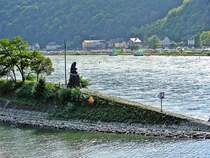 Blick auf die Loreley    09/2007