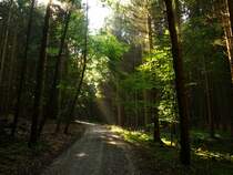 Spaziergang mit Hund
in Lengthal