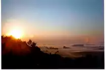 Morgennebel �bern Isartal Moosthenning