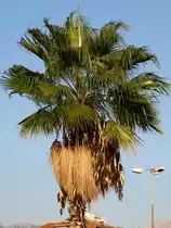 Urlaub Oktober 09

split