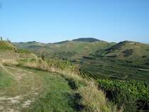 Kaiserstuhl/Baden,
Blick zum NSG Badberg,
Aug.2008