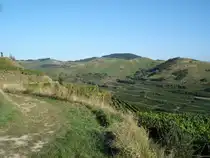 Kaiserstuhl/Baden,
Blick zum NSG Badberg,
Aug.2008