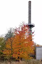 herbstlicher Einklang am Rande einer alten verlassenen Industrieanlage
ein bi�chen Farbe zum eher tristen Grau