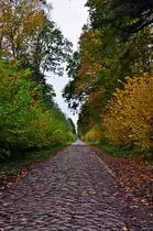 der Penniner Damm N�he Stralsund, 27.10.09