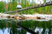 Das ist eine Wildwasserbahn des 19. Jh. Quasi der Europapark in der norwegischen Wildnis. �ber eine  T�mmerrenna  wurden B�ume �ber Wasserf�lle und Stromschnellen beim Fl��en geleitet. Eine T�mmerrenna konnte bis zu 5km lang sein. Hier eine T�mmerrenna bei Notodden; 31.10.2009