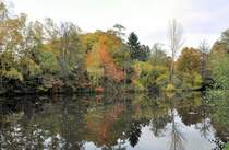 Kleiner See im Herbstwald an der Steinbachtalsperre - 27.10.2009