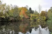 Kleiner See im Herbstwald an der Steinbachtalsperre - 27.10.2009