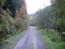 aufgenommen bei romkerhalle im okertal
waldweg mit herbstlandschft