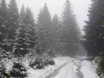 aufgenommen am torfhaus/harz
erster schnee 2009 ende oktober anfang november
winterlicher harzwald