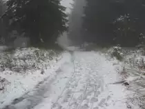 aufgenommen an torfhaus/harz 
erster schnee des jahres 2009 ende oktober anfang november
winterliche harzwald