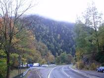 aufgenommen im okertal/romkerhalle
am ein regnischen samstag
herbstwald im okertal