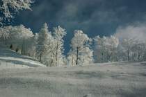Winter 2006 im Zrcher Oberland.