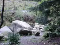 aufgenommen zwischen romkerhalle und nachsperre
im okertal/harz
die klein steine liegen 
in der oker und auch auf/am wanderweg
der wanderweg geht malerisch an der oker
lang