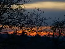 sonnenuntergang am 13.11.09 auf der Haid
das liegt zwischen Th�rnthenning und Ottering